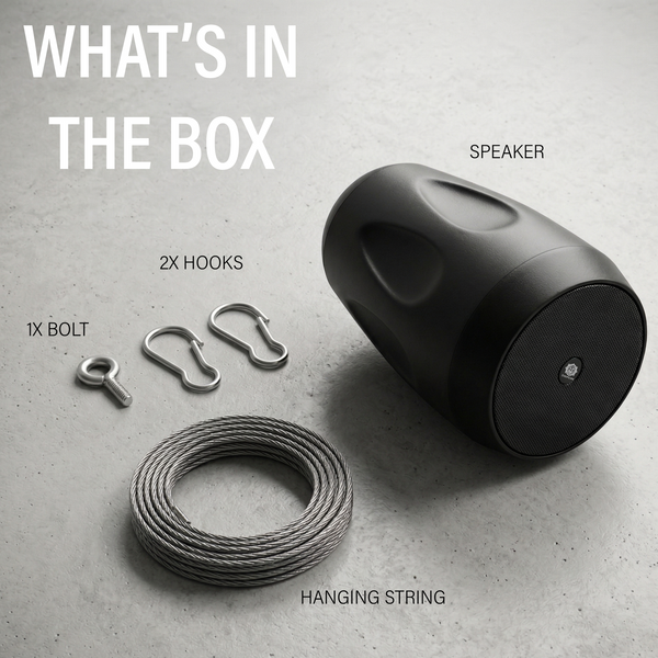 DIGIMORE 30W Hanging Speaker | 2-Way 8Ω Speaker | 4" Woofer + 0.5" Tweeter | Includes Clamp & Metal Cable | Metal Body & Weather-Resistant for Outdoors, Shops, Restaurants (DCS-4401)