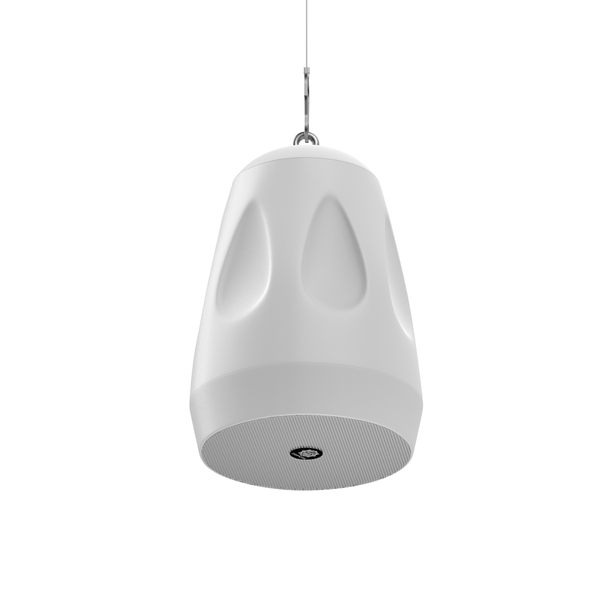 DIGIMORE 30W Hanging Speaker | 2-Way 8Ω Speaker | 4" Woofer + 0.5" Tweeter | Includes Clamp & Metal Cable | Metal Body & Weather-Resistant for Outdoors, Shops, Restaurants (DCS-4401 White)