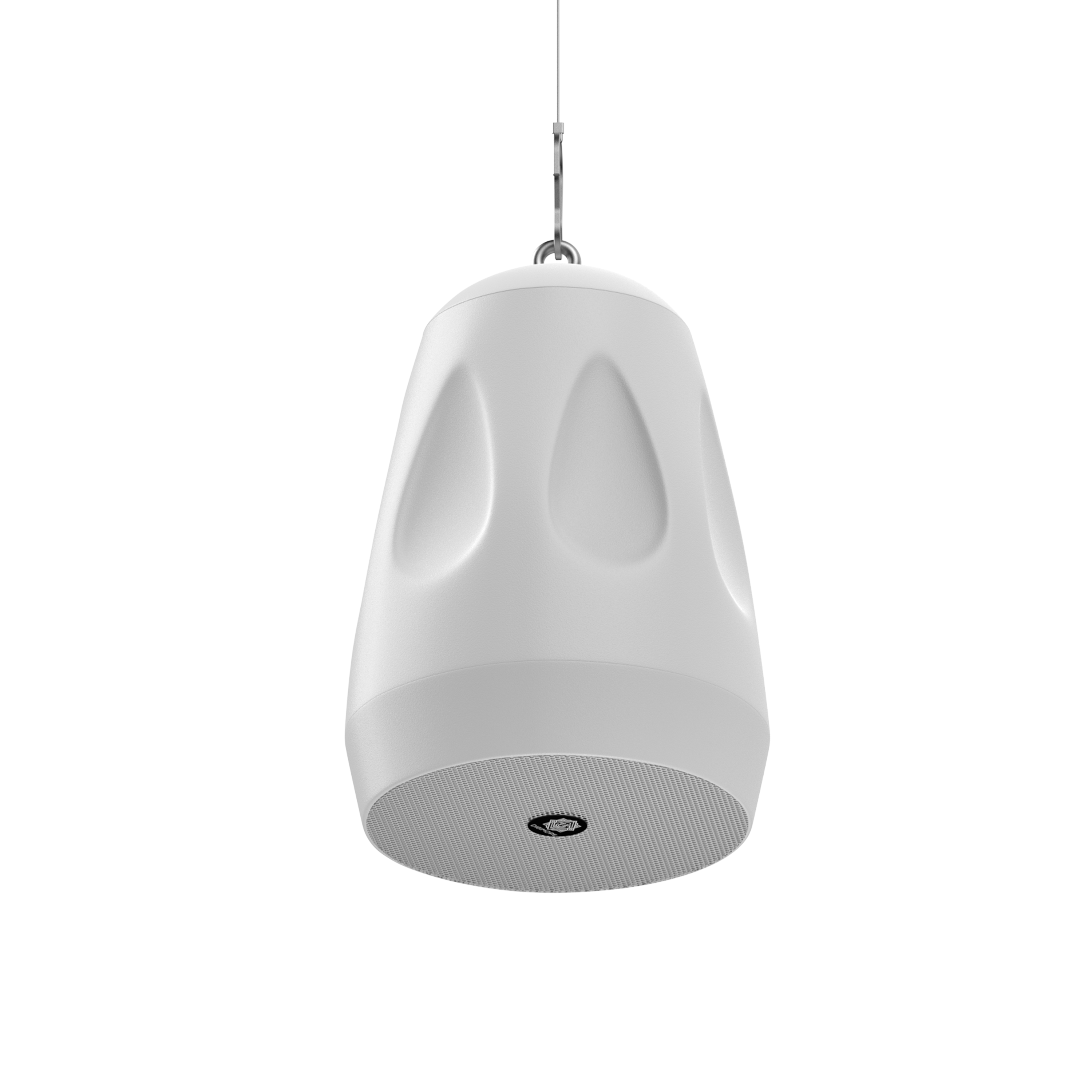 DIGIMORE 40W Hanging Speaker | 2-Way 8Ω Speaker | 6.5" Woofer + 1" Tweeter | Includes Clamp & Metal Cable | Metal Body & Weather-Resistant for Outdoors, Shops, Restaurants (DCS-6501)